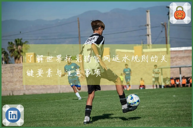 了解世界杯竞猜官网返水规则的关键要素与注意事项