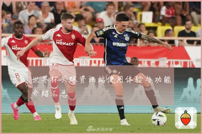 世界杯买球资讯站使用体验与功能介绍汇总