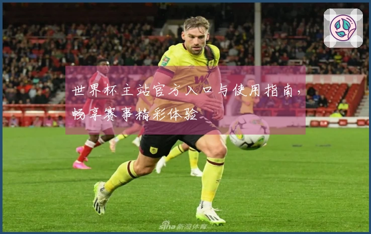 世界杯主站官方入口与使用指南，畅享赛事精彩体验