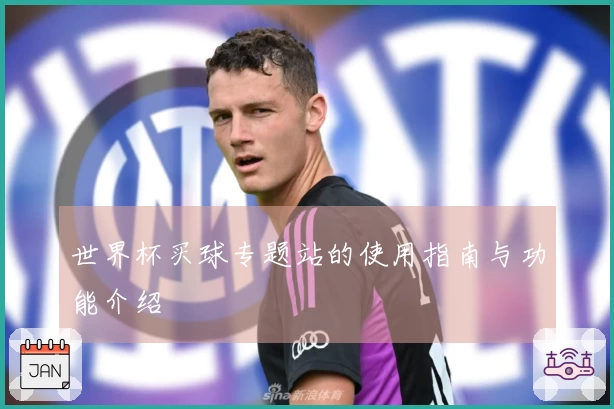 世界杯买球专题站的使用指南与功能介绍