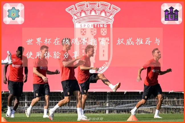 世界杯在线观赛指南：权威推荐与使用体验分享