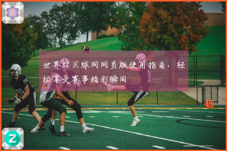 世界杯买球网网页版使用指南，轻松享受赛事精彩瞬间