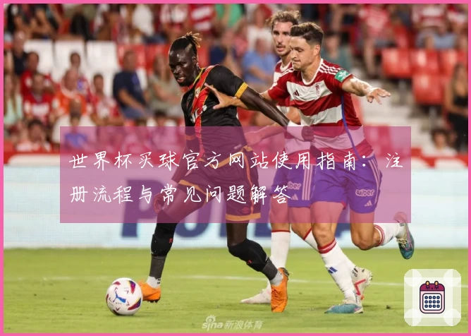 世界杯买球官方网站使用指南：注册流程与常见问题解答