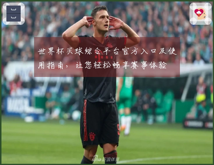 世界杯买球综合平台官方入口及使用指南，让您轻松畅享赛事体验