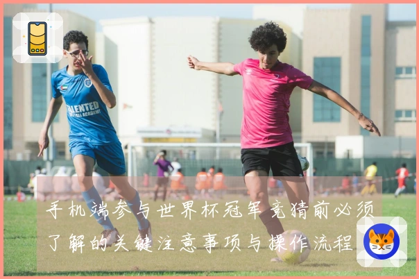 手机端参与世界杯冠军竞猜前必须了解的关键注意事项与操作流程