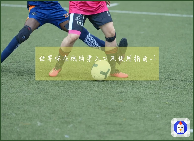 世界杯在线购票入口及使用指南_1
