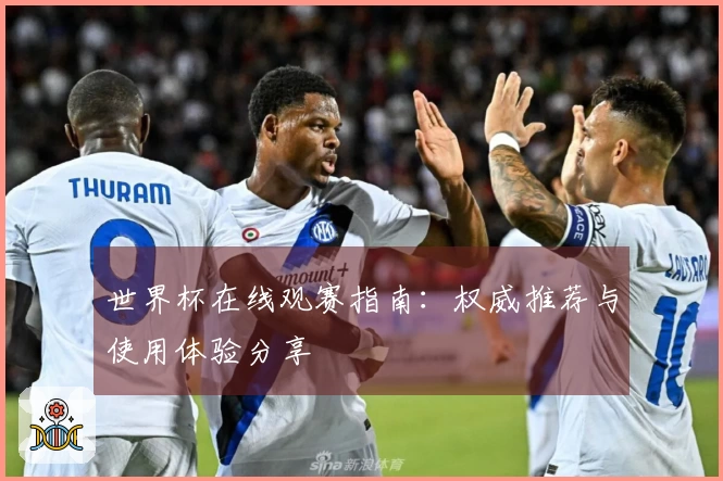 世界杯在线观赛指南：权威推荐与使用体验分享