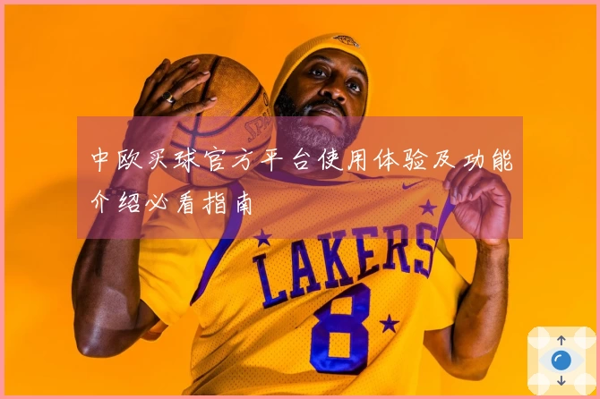 中欧买球官方平台使用体验及功能介绍必看指南